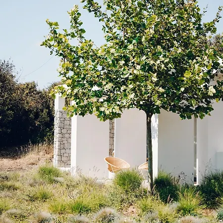 Vila Hidden Hill Naxos