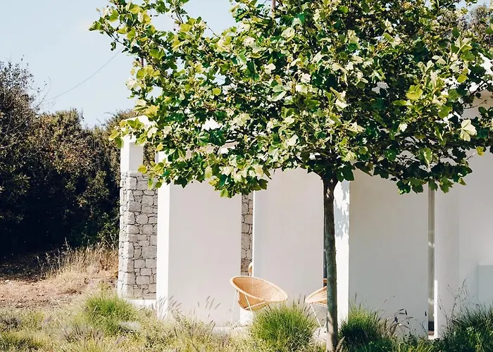 Villa Hidden Hill Naxos